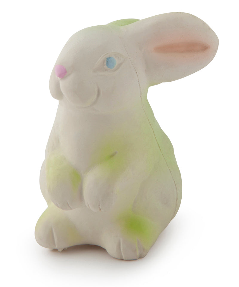 Bob the Bunny Teether/Bath Toy