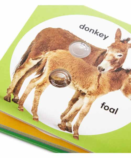 Poke-A-Dot Book: Farm Animal Families